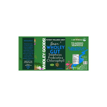 4 x 1.9 Wholey Goods Wellness Shot gut